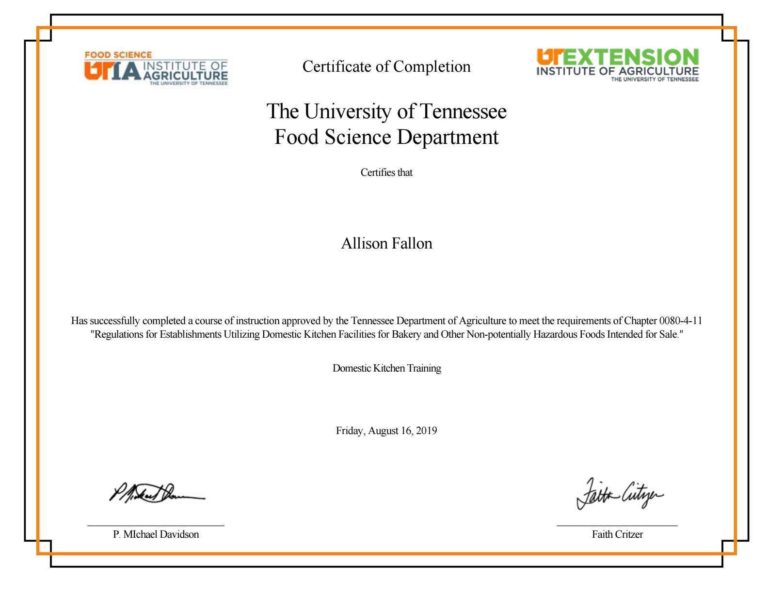 Alison certificate coupon code